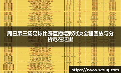 周日第三场足球比赛直播精彩对决全程回放与分析尽在这里
