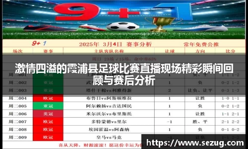 激情四溢的霞浦县足球比赛直播现场精彩瞬间回顾与赛后分析