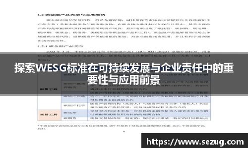 探索WESG标准在可持续发展与企业责任中的重要性与应用前景