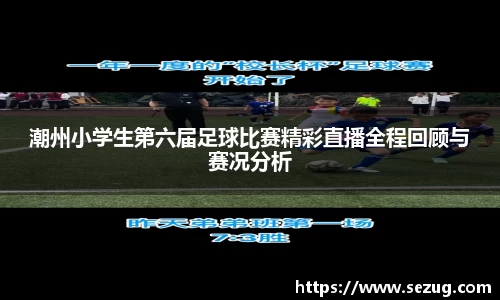 潮州小学生第六届足球比赛精彩直播全程回顾与赛况分析