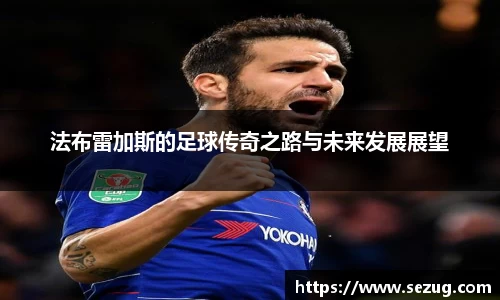 法布雷加斯的足球传奇之路与未来发展展望