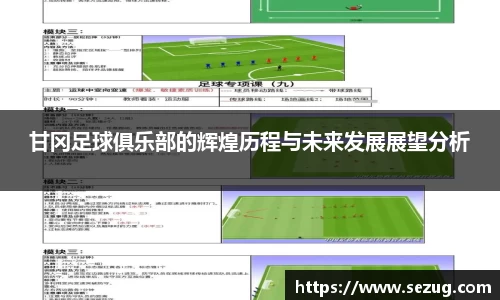 甘冈足球俱乐部的辉煌历程与未来发展展望分析