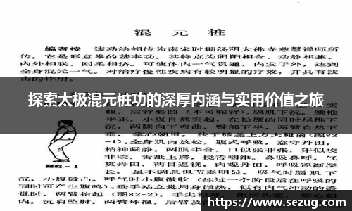 探索太极混元桩功的深厚内涵与实用价值之旅